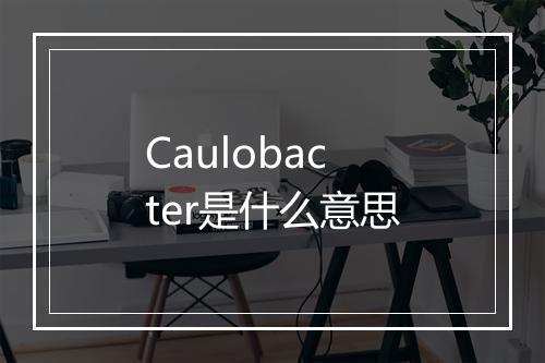 Caulobacter是什么意思