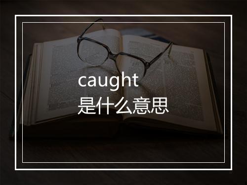 caught是什么意思