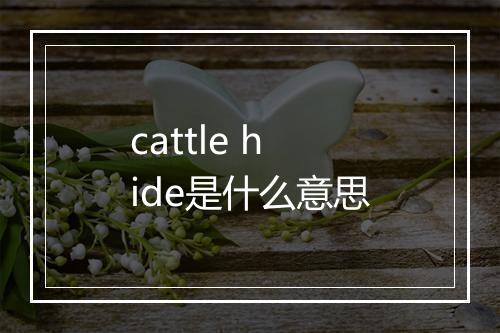 cattle hide是什么意思