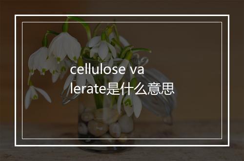 cellulose valerate是什么意思