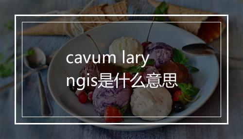 cavum laryngis是什么意思