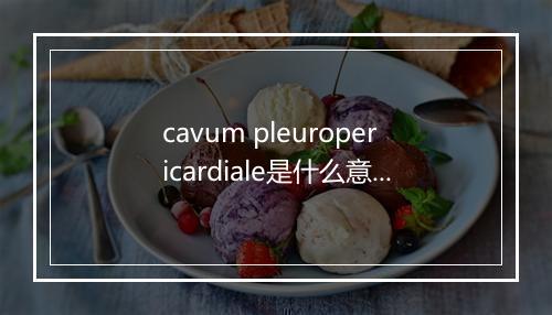 cavum pleuropericardiale是什么意思