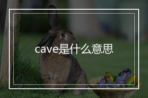 cave是什么意思