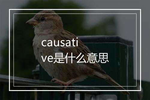 causative是什么意思