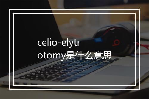 celio-elytrotomy是什么意思