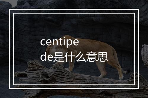 centipede是什么意思