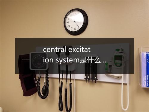 central excitation system是什么意思