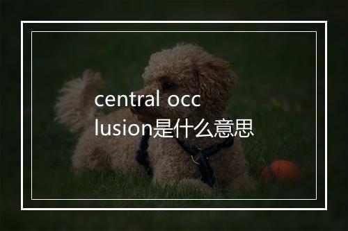 central occlusion是什么意思