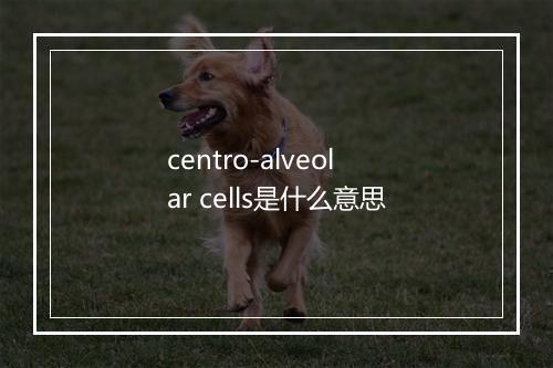 centro-alveolar cells是什么意思