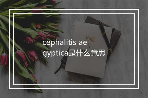 cephalitis aegyptica是什么意思