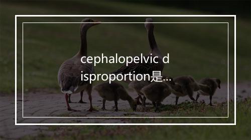 cephalopelvic disproportion是什么意思