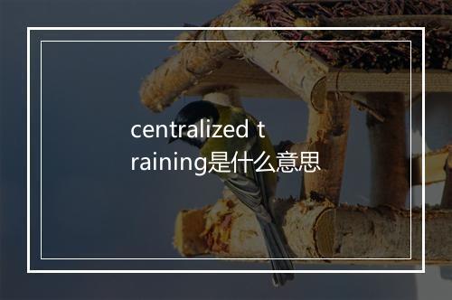 centralized training是什么意思