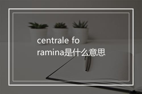 centrale foramina是什么意思