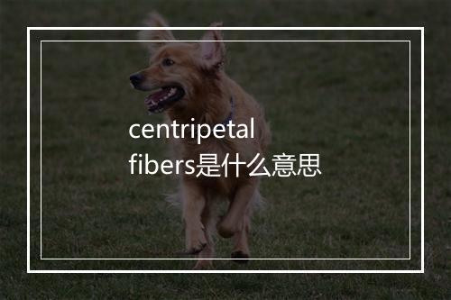 centripetal fibers是什么意思