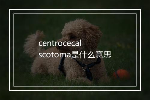 centrocecal scotoma是什么意思