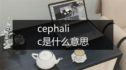 cephalic是什么意思