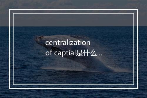 centralization of captial是什么意思