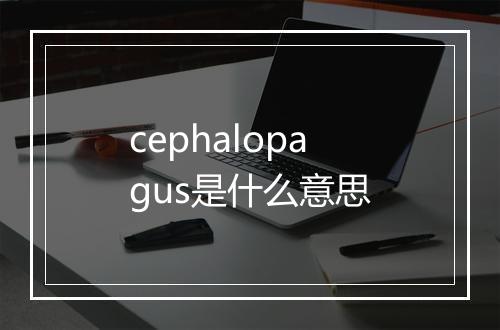 cephalopagus是什么意思