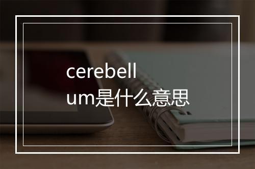 cerebellum是什么意思