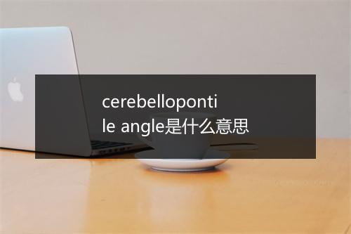 cerebellopontile angle是什么意思