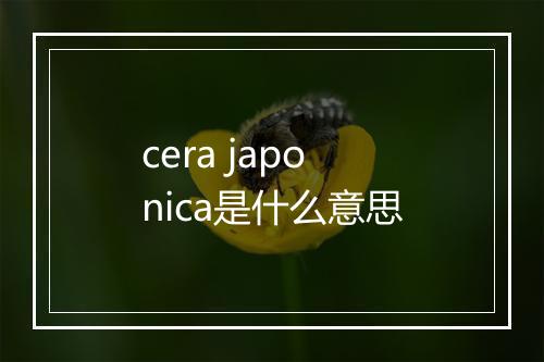 cera japonica是什么意思