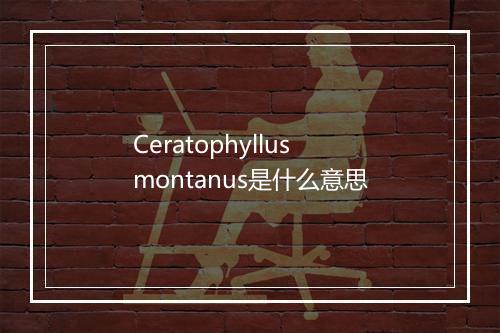 Ceratophyllus montanus是什么意思