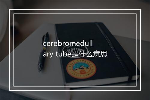 cerebromedullary tube是什么意思