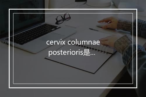 cervix columnae posterioris是什么意思