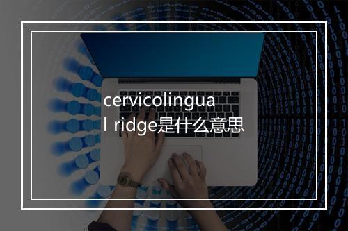 cervicolingual ridge是什么意思