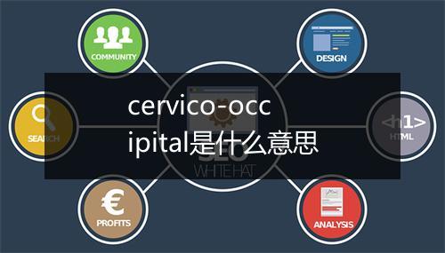 cervico-occipital是什么意思