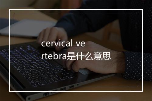 cervical vertebra是什么意思