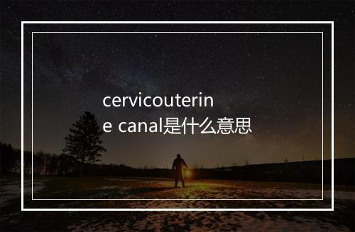 cervicouterine canal是什么意思