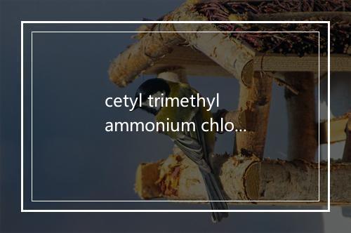 cetyl trimethylammonium chloride (CTAC)是什么意思