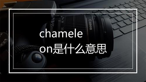 chameleon是什么意思