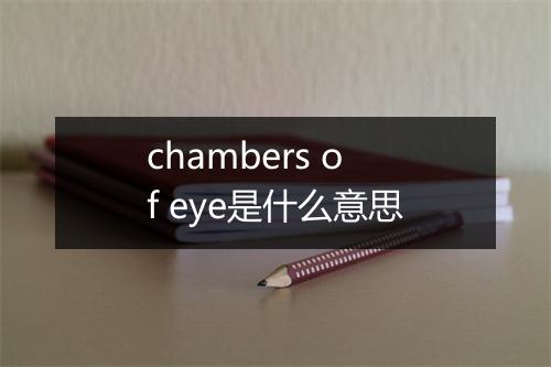 chambers of eye是什么意思