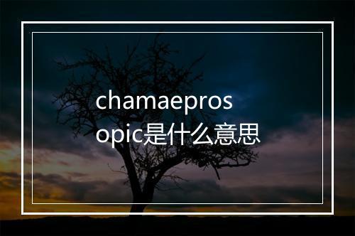 chamaeprosopic是什么意思