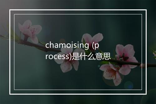 chamoising (process)是什么意思