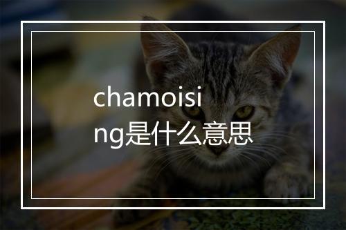 chamoising是什么意思