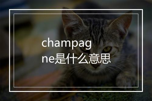 champagne是什么意思