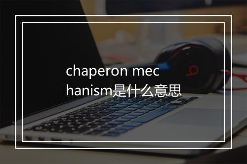 chaperon mechanism是什么意思