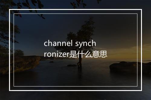 channel synchronizer是什么意思