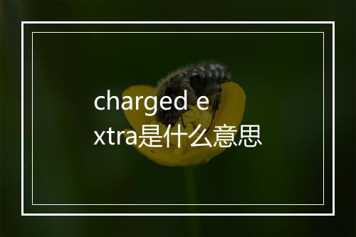 charged extra是什么意思