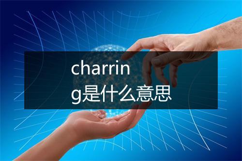 charring是什么意思