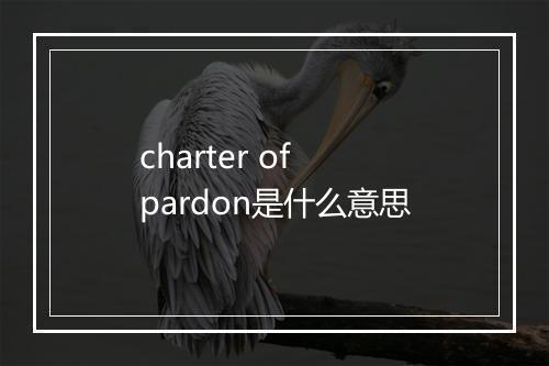 charter of pardon是什么意思