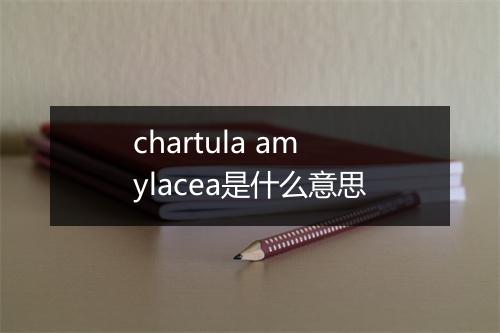 chartula amylacea是什么意思