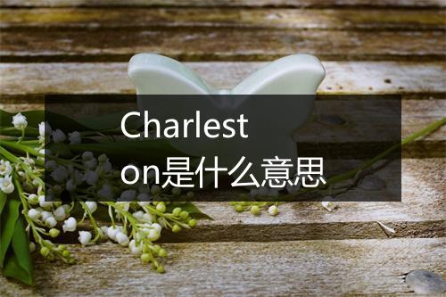 Charleston是什么意思