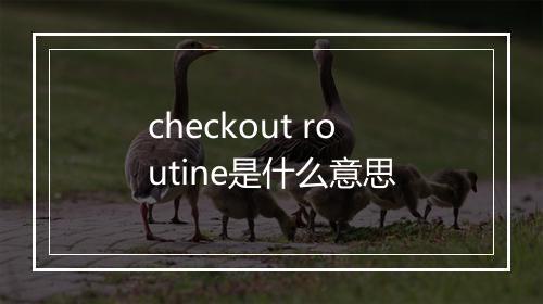 checkout routine是什么意思