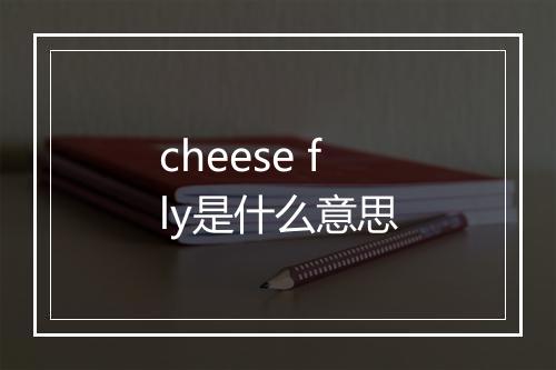 cheese fly是什么意思