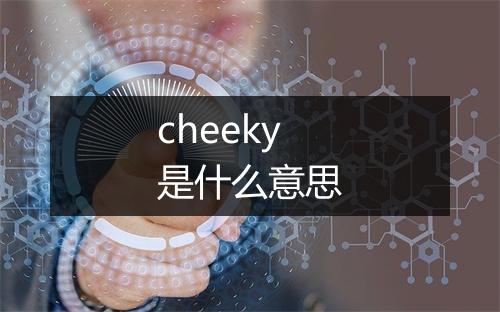 cheeky是什么意思