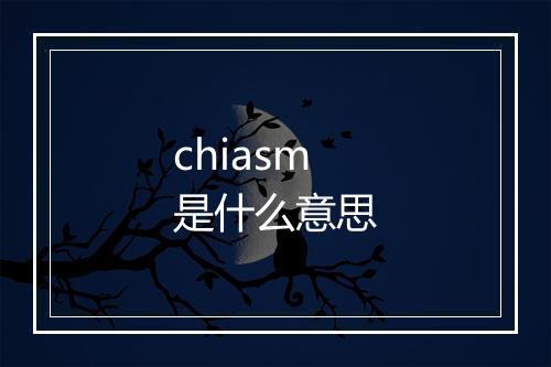 chiasm是什么意思